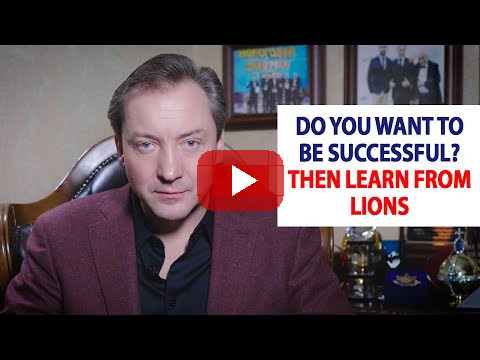 Do you want to be successful? Then learn from lions / Roman Vasilenko